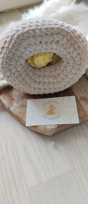 Maman poule et ses bébés 
