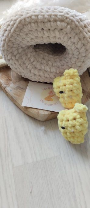 Maman poule et ses bébés 